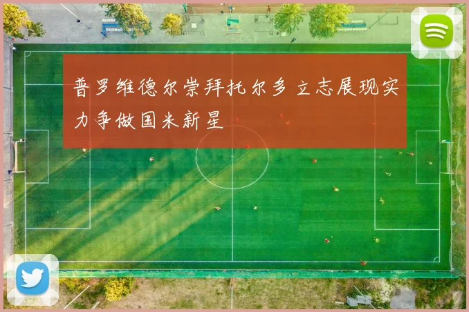 普罗维德尔崇拜托尔多立志展现实力争做国米新星